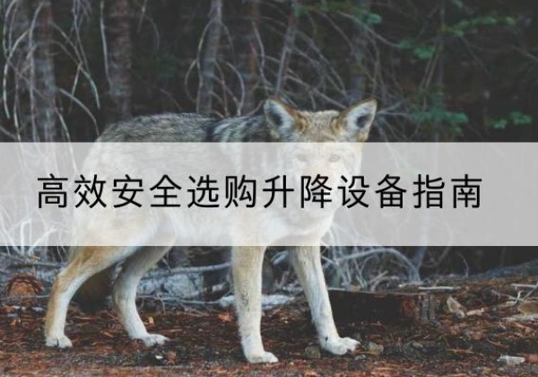 金溪升降货梯厂家推荐-*安全选购升降设备指南