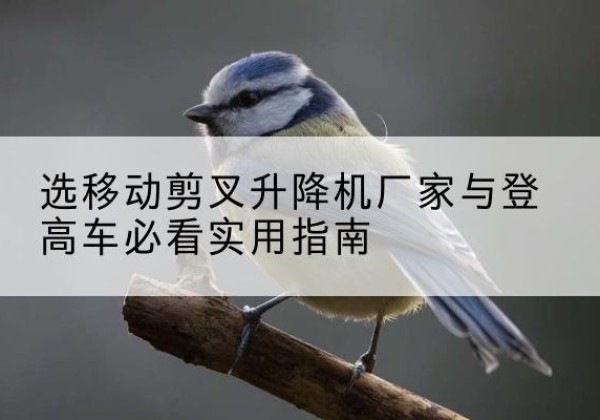 金溪电动升降机厂家-选移动剪叉升降机厂家与登高车必看实用指南