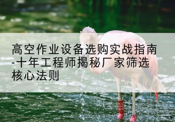 金溪剪叉式升降机厂家-高空作业设备选购实战指南-十年工程师揭秘厂家筛选核心法则